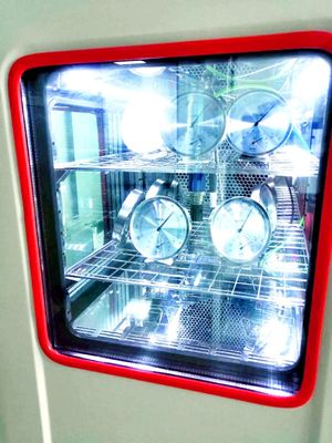 5%-95%RH Humidity Standard Test Chamber with Mobilephone App Control and White Color